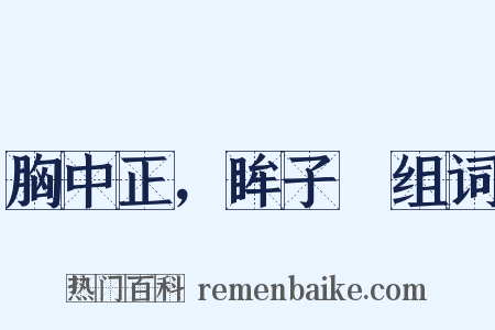 胸中正，眸子瞭组词是什么意思的图片